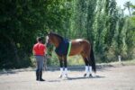 CEAL-Noticia-Equmetric-3