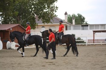 CEAL-Escuela-equitación-2