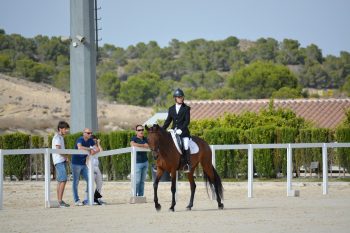 CEAL-Escuela-equitación-5